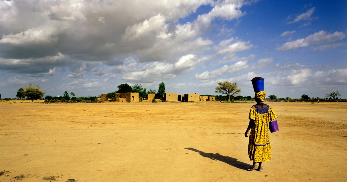 Featured image for Mali executes TikTok influencer supporting military