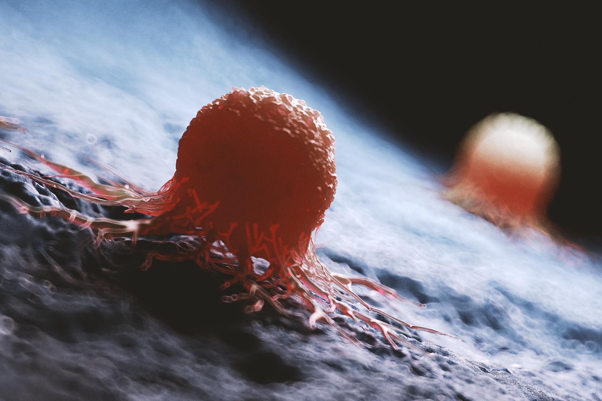 Featured image for AI Solves Century-Old Cancer Puzzle