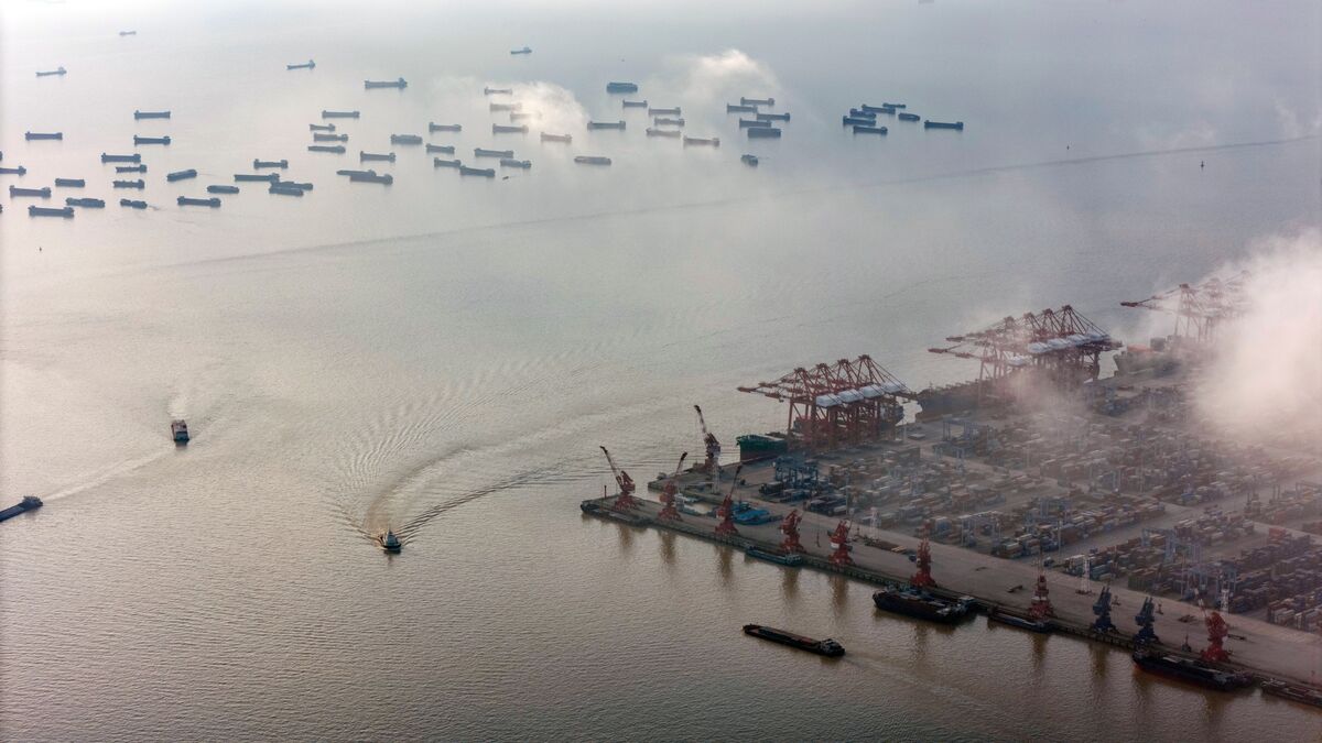 Featured image for China Promotes Imports and Sustainability at CIIE