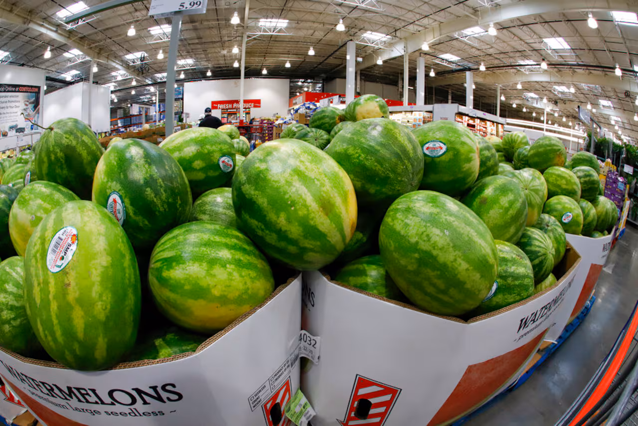 Featured image for "Master the Art of Selecting and Enjoying the Perfect Watermelon with David Holloway's Tips and Recipes"
