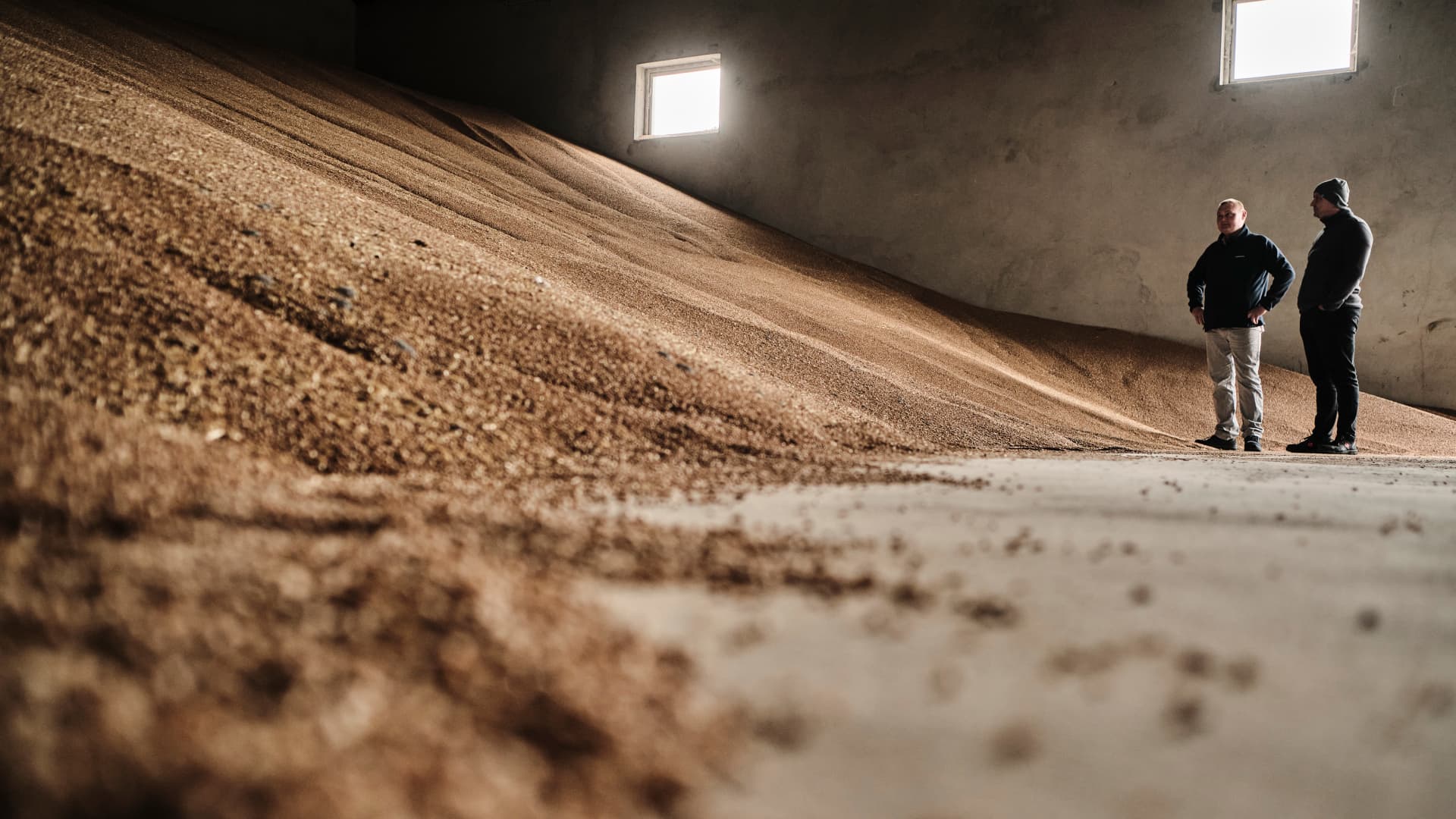 Featured image for Ukraine's grain exports spark tensions with EU and allies.