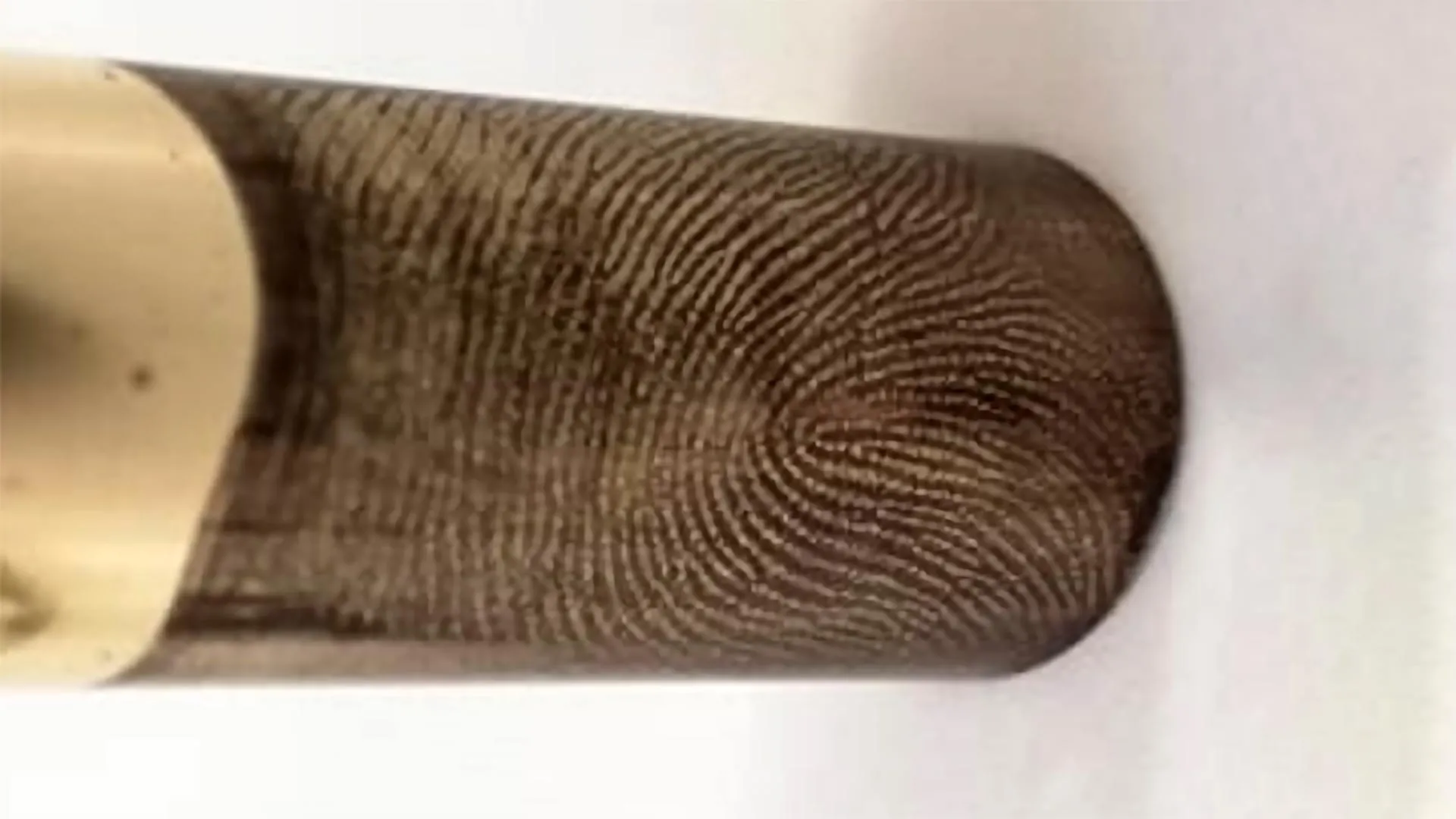 Featured image for Scientists Recover Fingerprints from Fired Bullets, Achieving Forensics' 'Holy Grail'