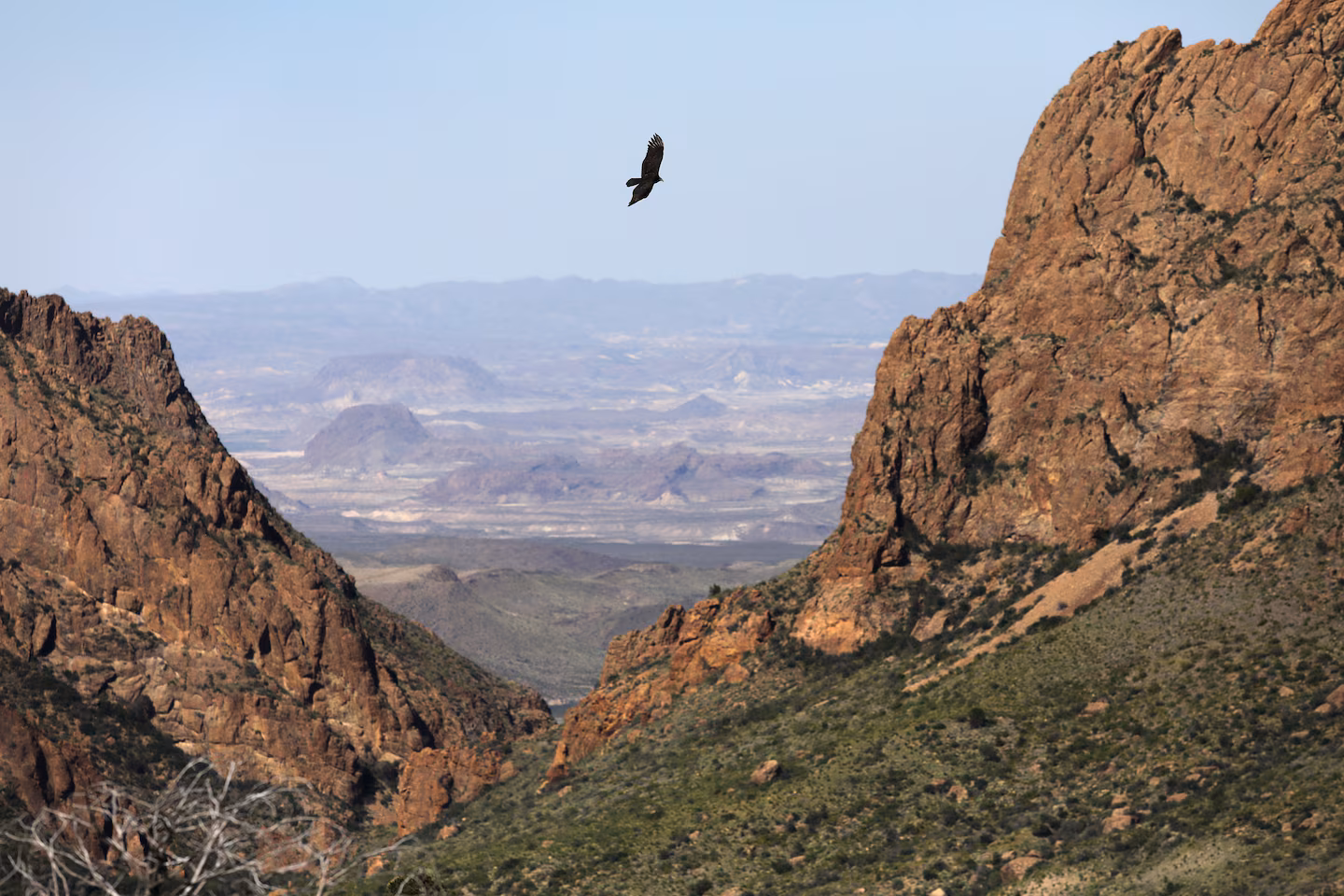 Featured image for Tragic Deaths in Big Bend National Park Hiking Incident.