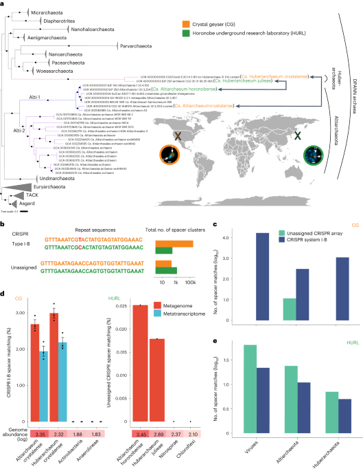 Featured image for "CRISPR-Cas System: Unlocking the Potential of Microorganisms in Symbiosis and Parasite Defense"