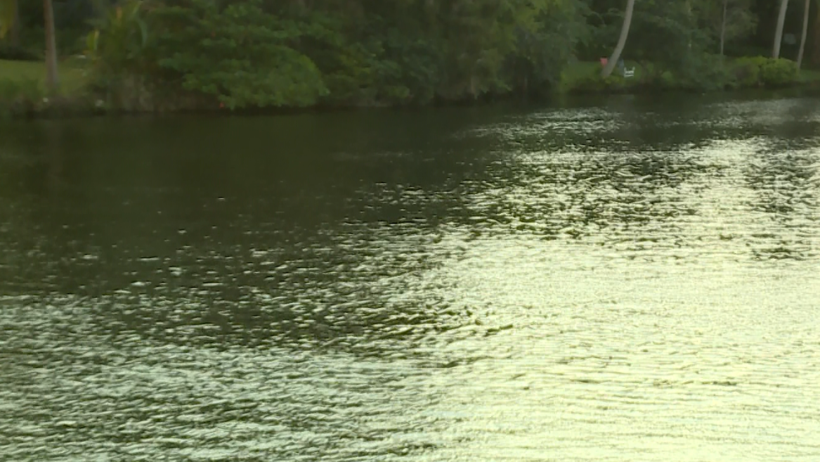 Featured image for Mysterious Body Discovered in West Palm Beach Waterway