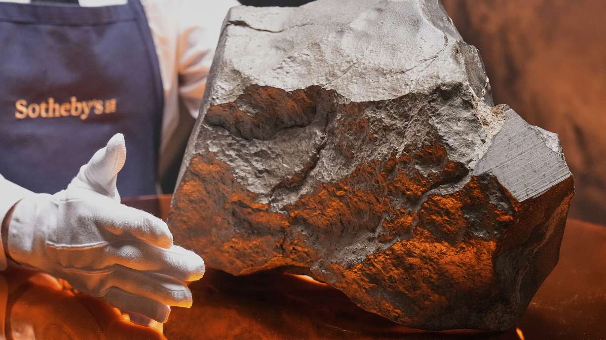 Featured image for Largest Mars Meteorite to Be Auctioned in New York