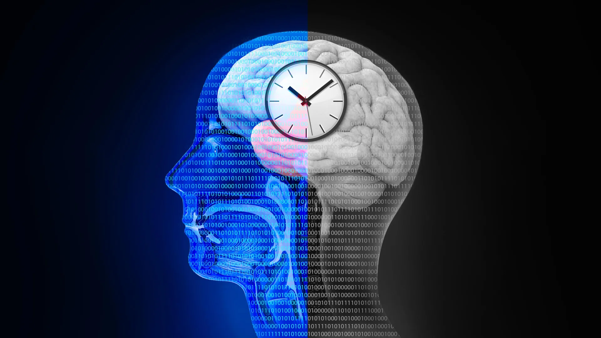 Featured image for Resetting Body Rhythms May Shield Brain from Alzheimer’s