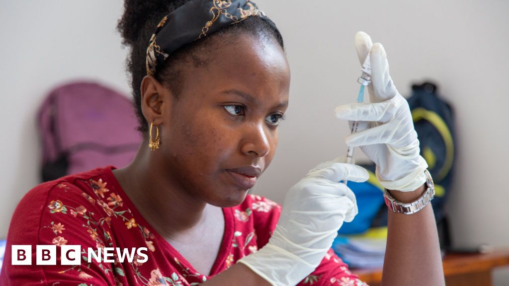 Featured image for WHO Endorses Affordable Malaria Vaccine for African Rollout