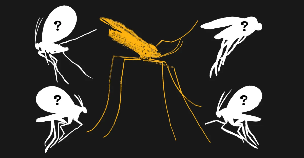 Featured image for Unveiling Earth's Most Mysterious Creatures