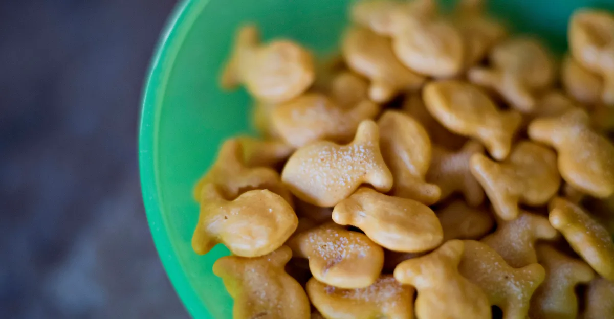 Featured image for The Hidden Issues in Kids' Diets Today