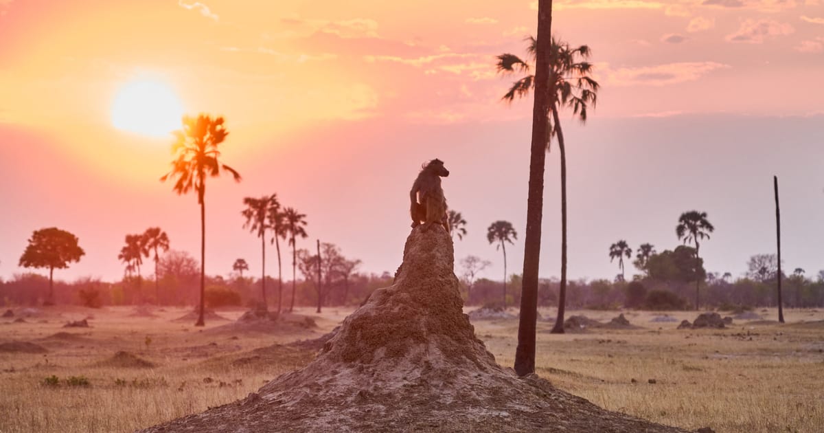 Featured image for EU finalizes softened 2040 climate goal ahead of COP30