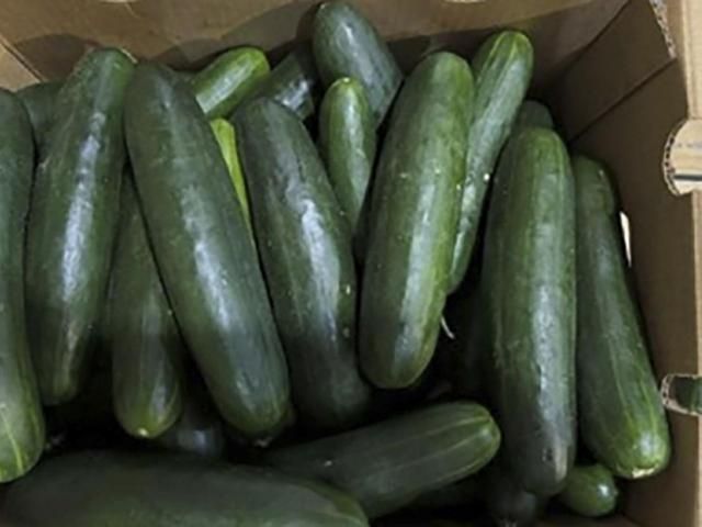 Featured image for Salmonella Outbreak Linked to Recalled Cucumbers Sickens Dozens