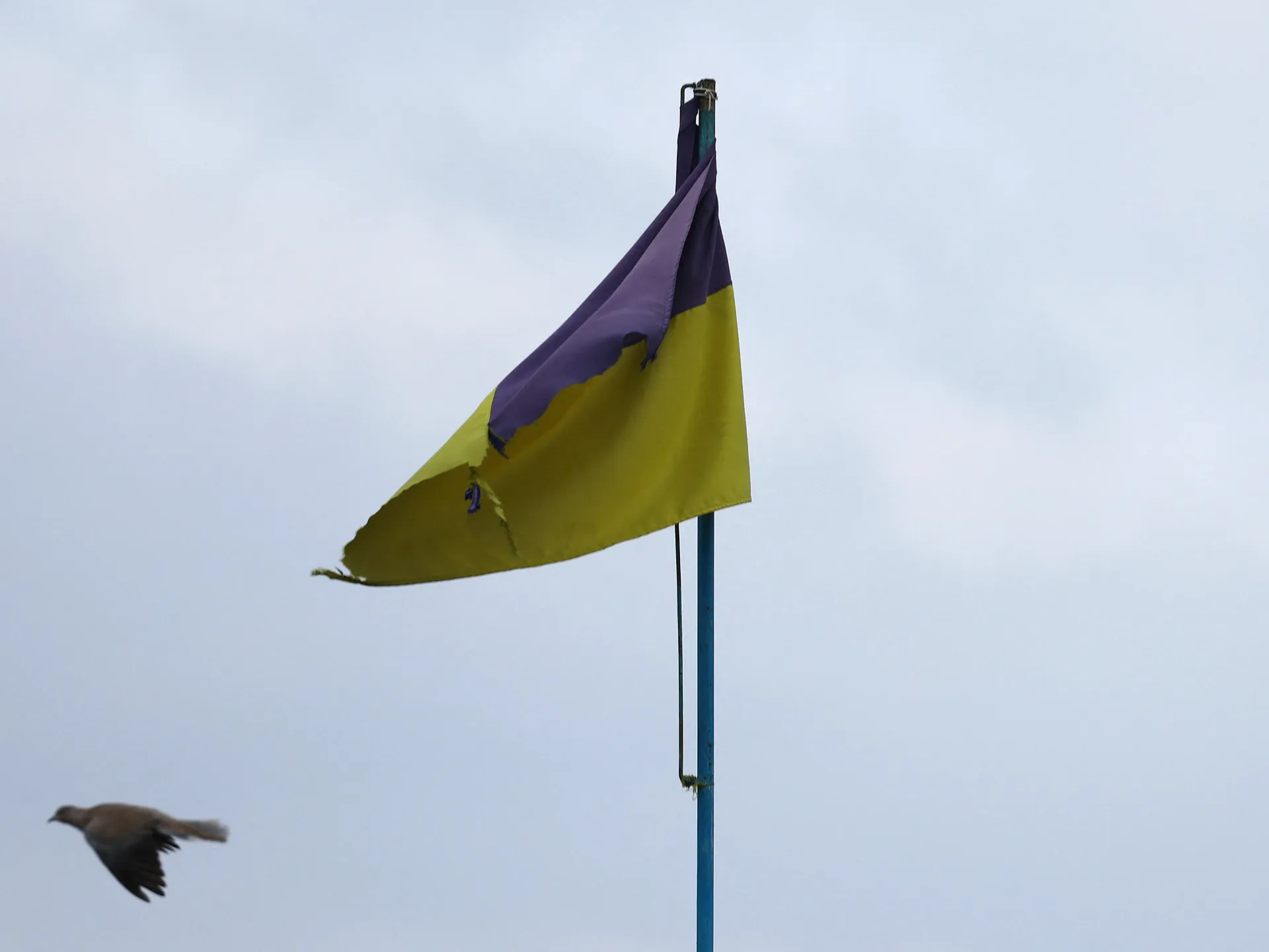 Featured image for Ukrainian delegate punches Russian counterpart at Black Sea conference in Turkey.