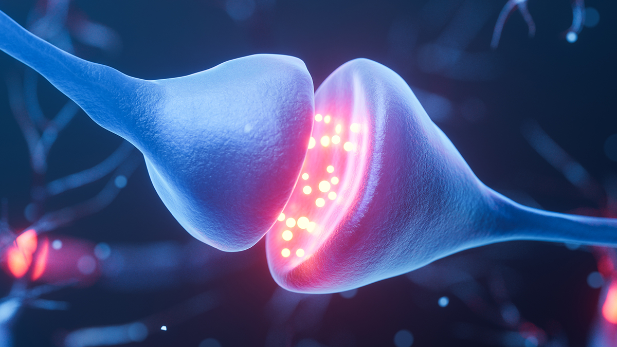 Featured image for Innovative Imaging Techniques Unveil Brain Cell Activity and Learning Processes