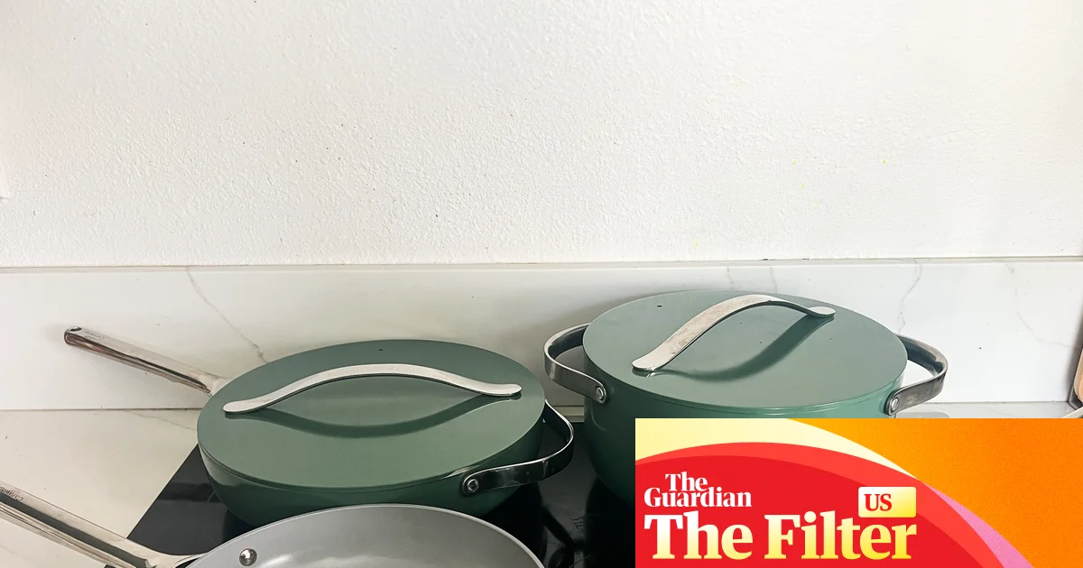 Featured image for Experts and Home Cooks Debate: Is Induction the Future of Kitchen Cooking?