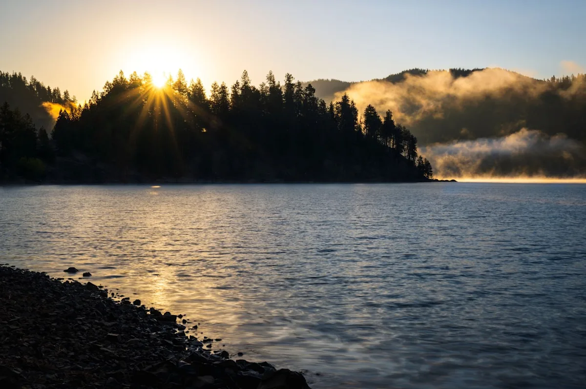 Featured image for Authorities Alerted by First-Ever Sighting of Invasive Creature in Unusual Area