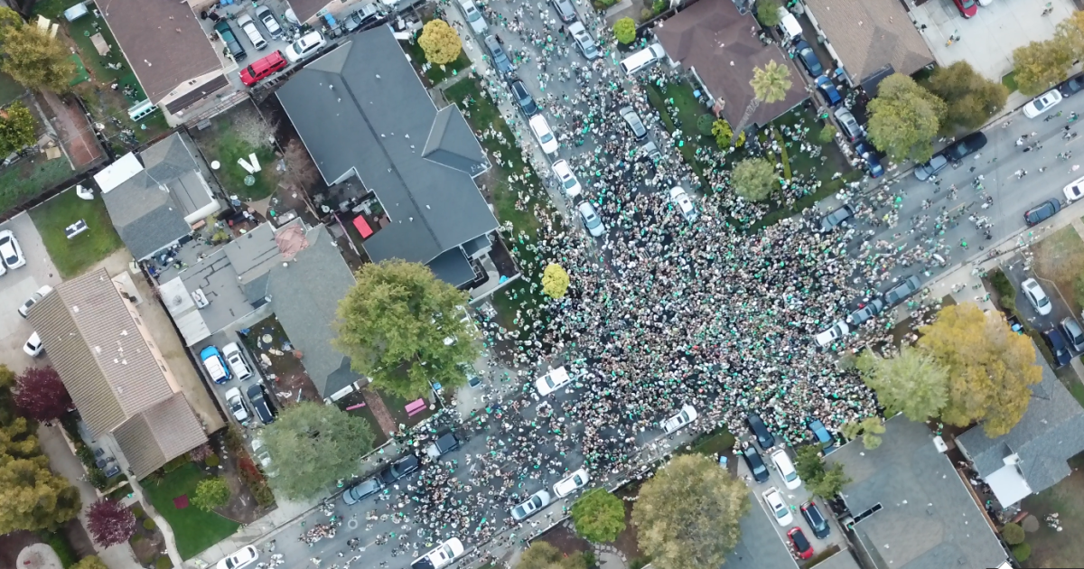 Featured image for St. Patrick's Day Celebrations Draw Crowds Across the US