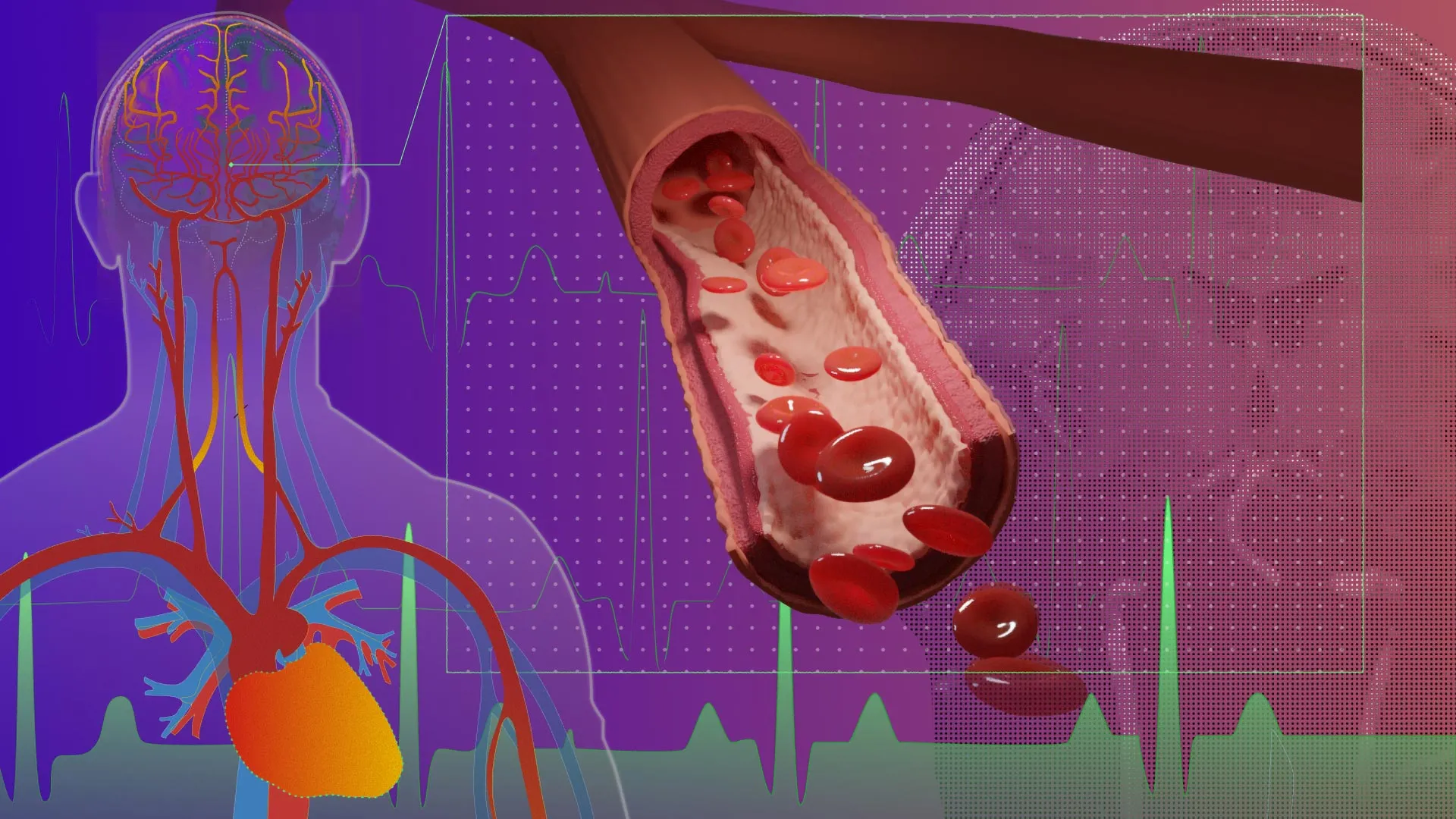 Featured image for Scientists Discover Brain Pulse Linked to Alzheimer’s Prediction
