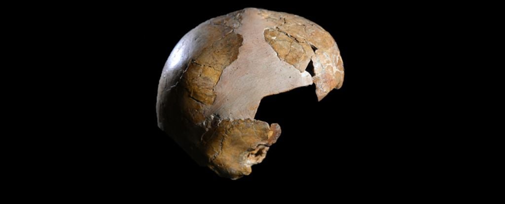 Featured image for Ancient Skull Suggests Extended Interbreeding Between Humans and Neanderthals