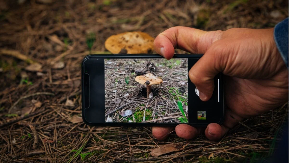 Featured image for Your Nature Photos Contribute Significantly to Scientific Research