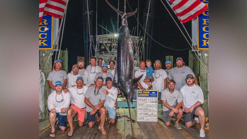 Featured image for Controversy and Disqualification at Blue Marlin Fishing Tournament.