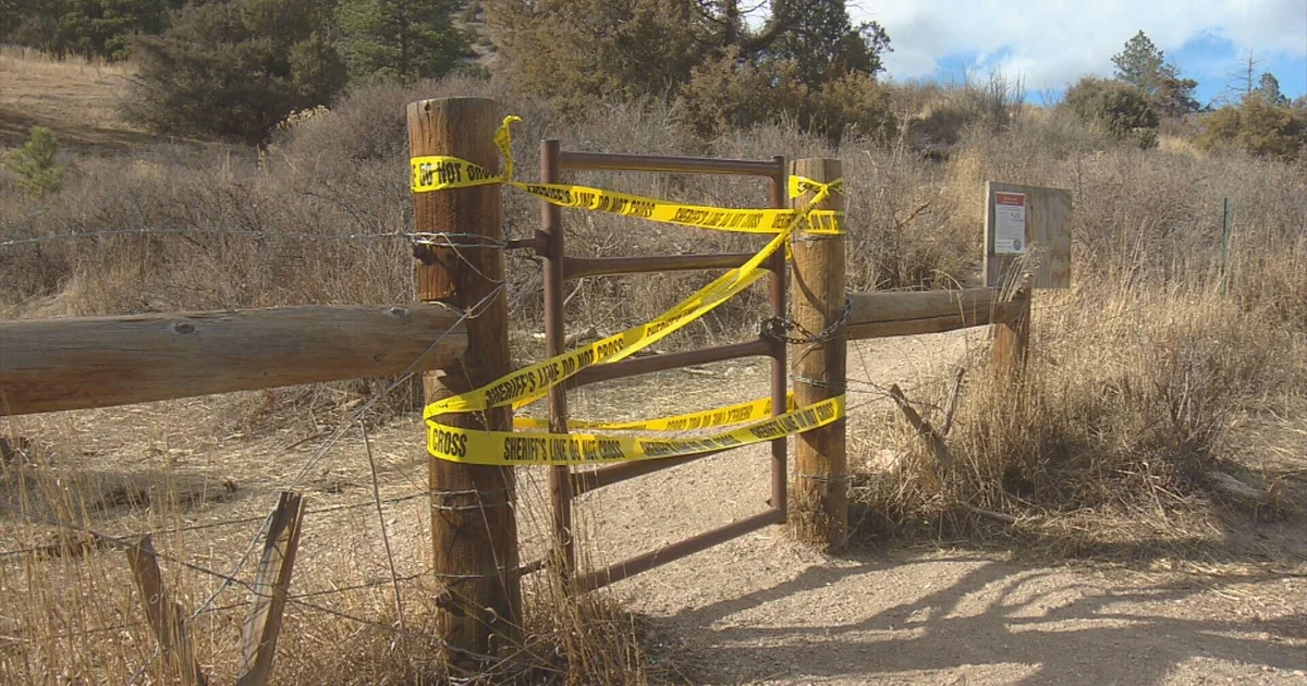 Featured image for Multiple mountain lion sightings and attacks raise safety concerns in Colorado