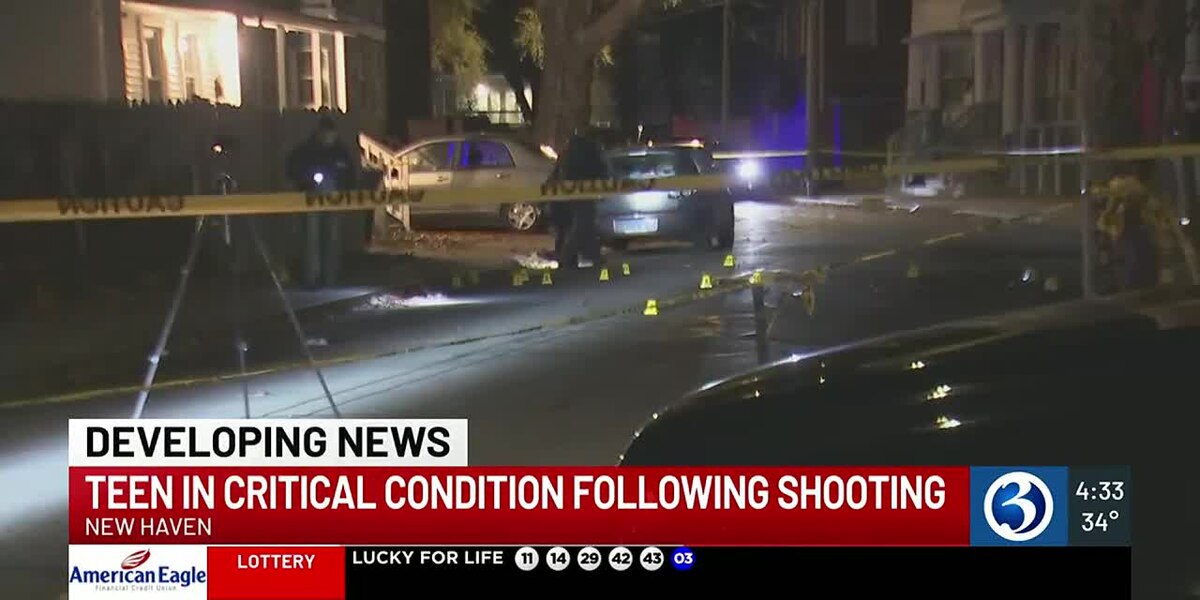 Featured image for Teenager in Critical Condition After Multiple Gunshot Wounds, Police Report