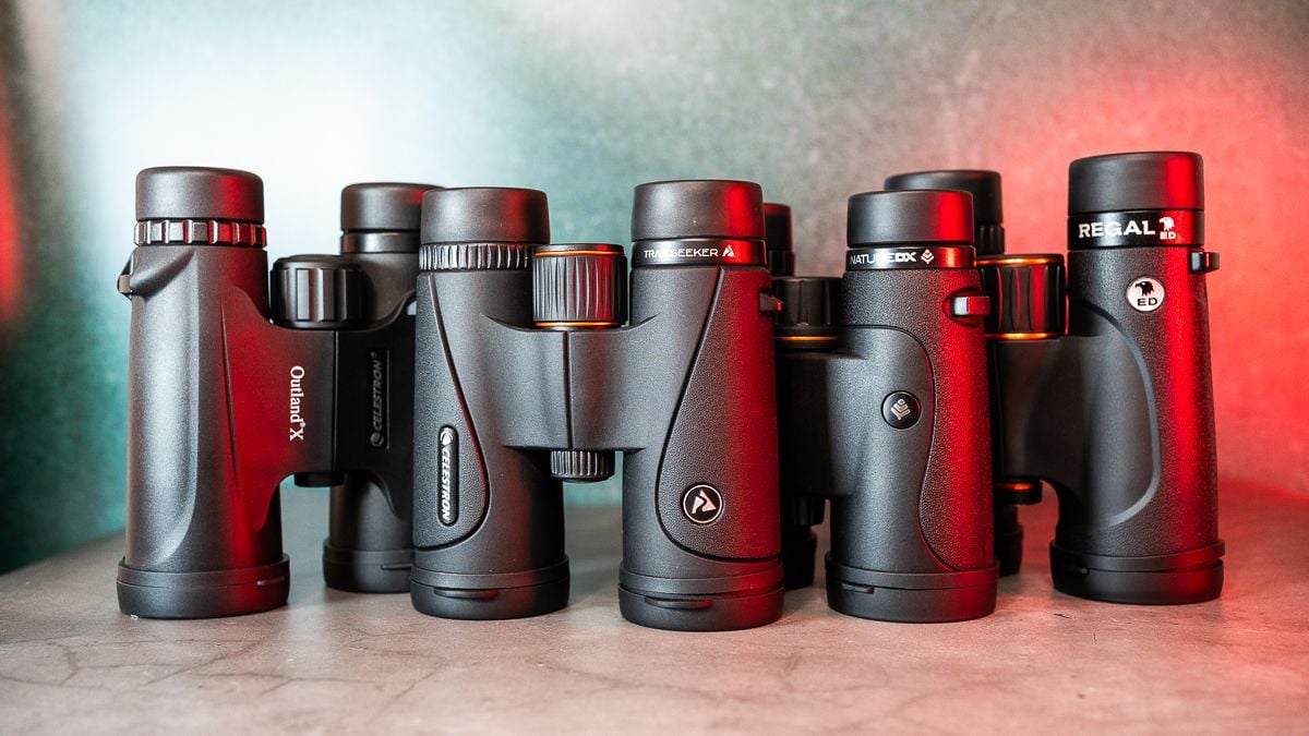 Featured image for Celestron 10x42 Showdown: The Ultimate Battle