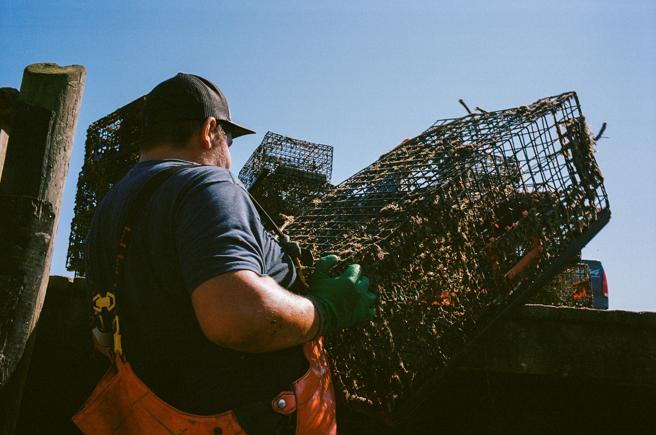 Featured image for CT Lobstermen Recall 26 Years After Deadly Die-Off