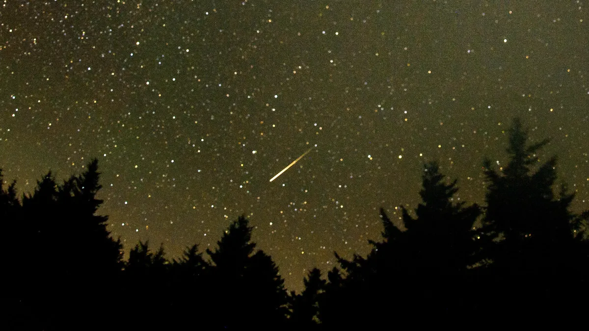 Featured image for Catch the Perseids Meteor Shower Before It Peaks