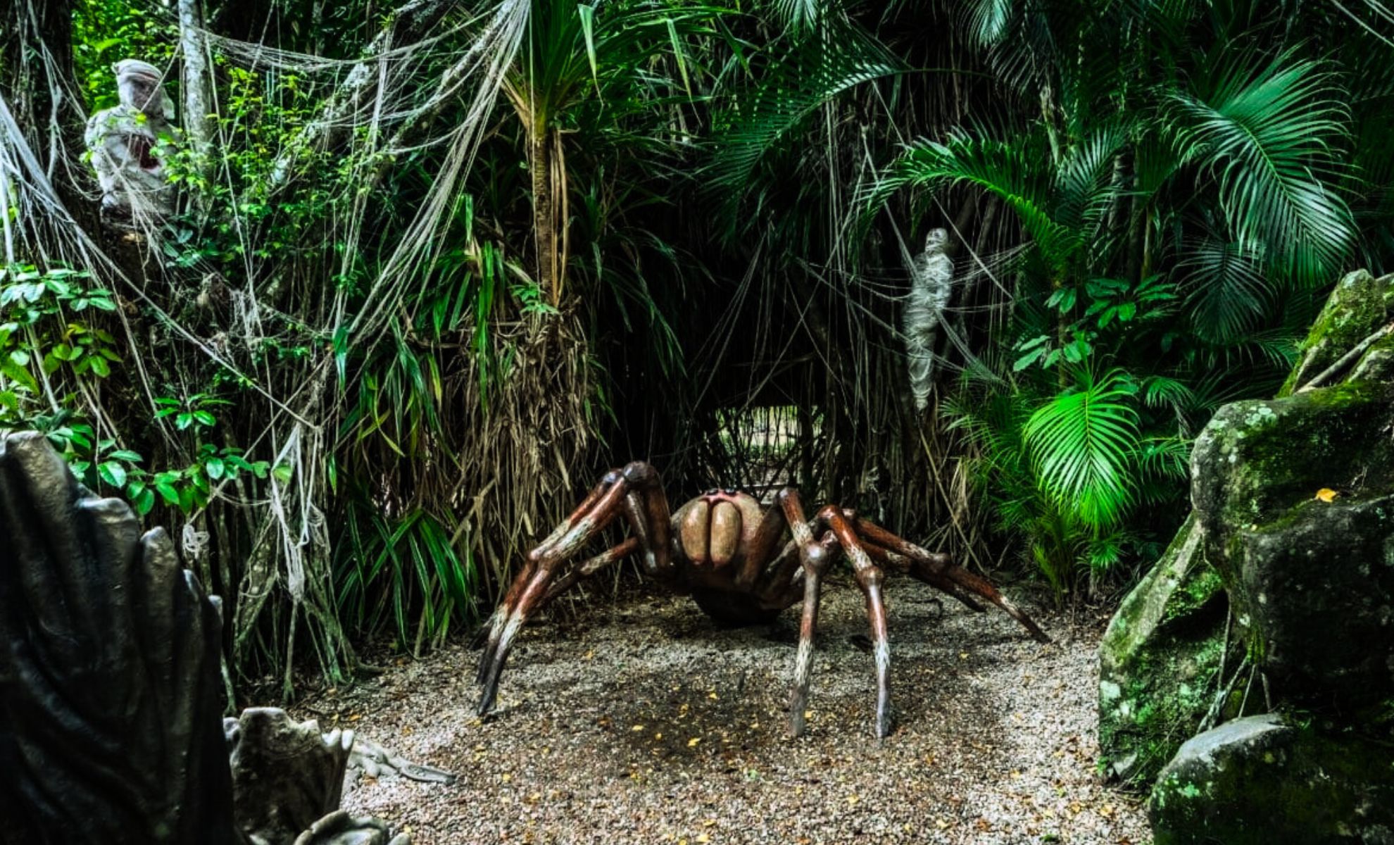 Featured image for Prehistoric Spider Larger Than Dinosaurs Discovered
