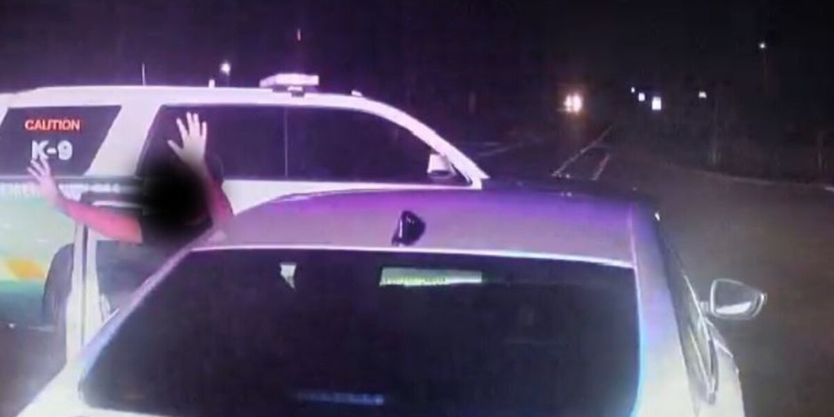 Featured image for Young Florida Siblings Embark on 200-Mile Joyride to California