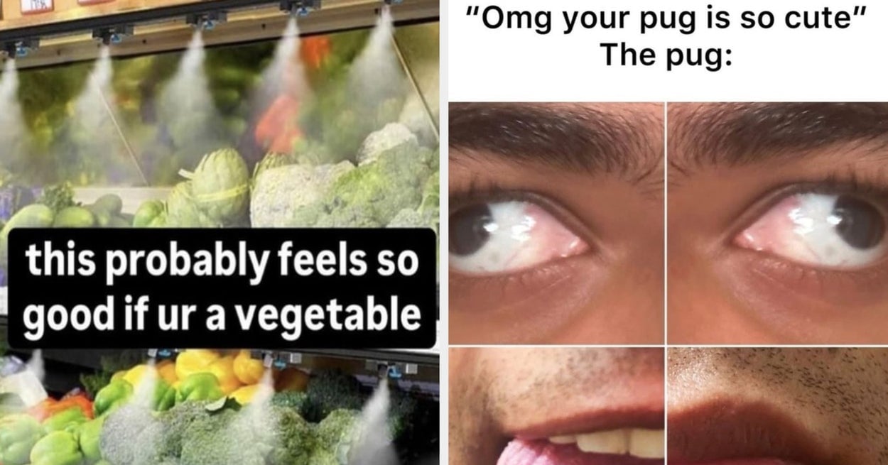 Featured image for Hilarious Screenshots That Keep Getting Funnier