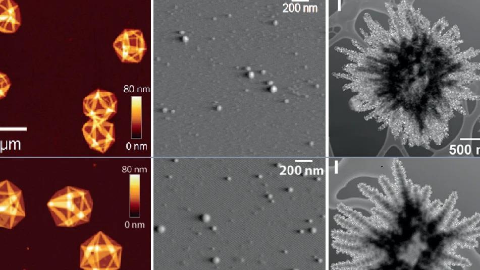 Featured image for AI-Generated Microscopy Images Fool Experts