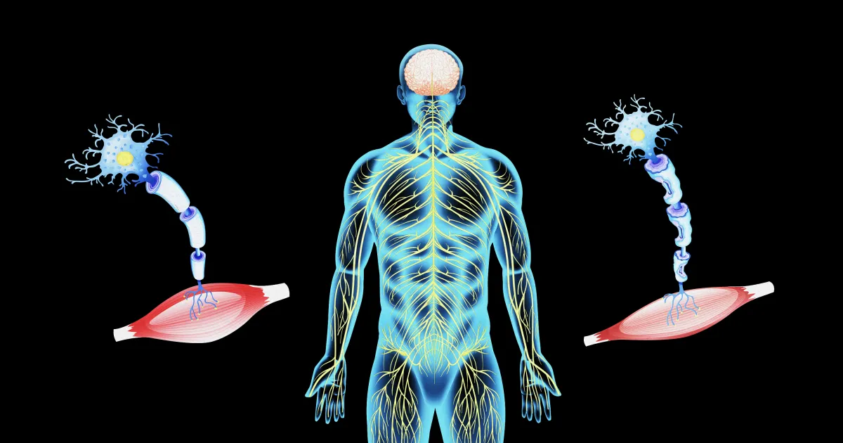 Featured image for Link found between ancient virus and ALS.