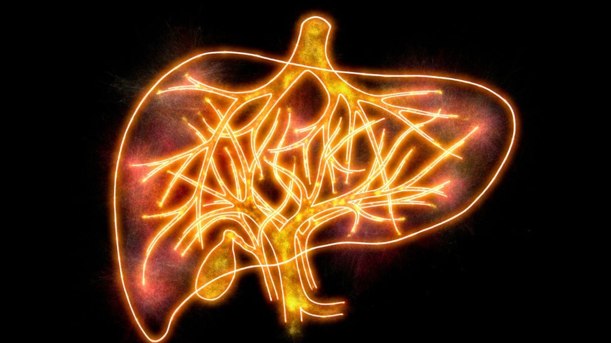 Featured image for Many Dementia Cases Could Be Treatable Conditions