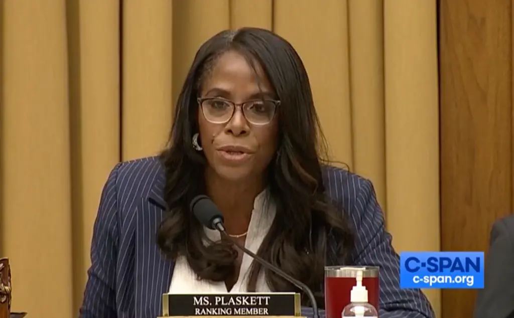 House Democrats appoint member to undermine hearings and attack whistleblowers