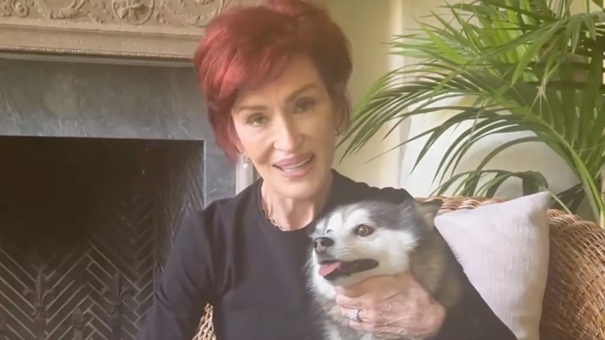 Featured image for Sharon and Kelly Osbourne Grieve Multiple Losses in Recent Months